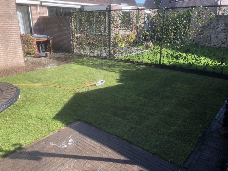 1DDB8F2C-9C57-49ED-9FCC-1E1D45DE7011